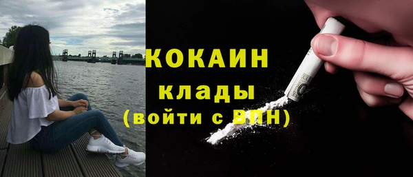 сатива Касимов