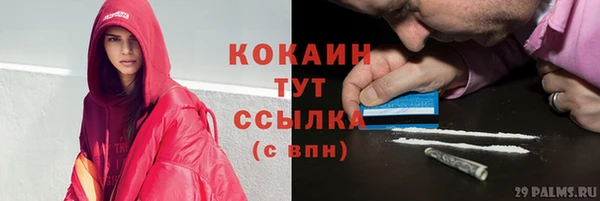 сатива Касимов
