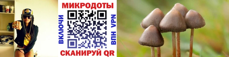Псилоцибиновые грибы Cubensis  Купить где  Копейск 